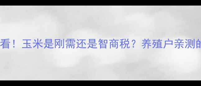 图片 🌾🐷猪饲料配方必看！玉米是刚需还是智商税？养殖户亲测的黄金配比攻略💡1