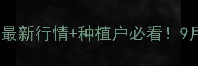 图片 🌾💰舞阳玉米价格最新行情+种植户必看！9月15日价格走势全1