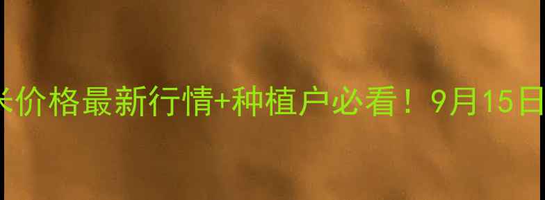 图片 🌾💰舞阳玉米价格最新行情+种植户必看！9月15日价格走势全2