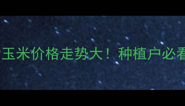 图片 🌾🔥甘肃玉米价格走势大！种植户必看指南🌾1