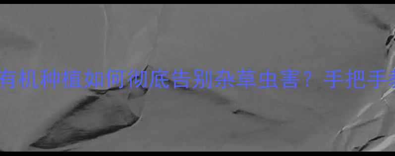 图片 🌿农药安全使用全攻略｜有机种植如何彻底告别杂草虫害？手把手教你科学灭杀+养护技巧🌱