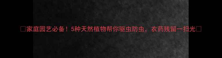 图片 🌿家庭园艺必备！5种天然植物帮你驱虫防虫，农药残留一扫光✨
