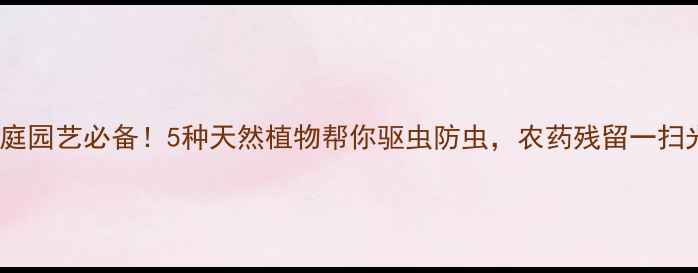 图片 🌿家庭园艺必备！5种天然植物帮你驱虫防虫，农药残留一扫光✨1