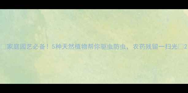 图片 🌿家庭园艺必备！5种天然植物帮你驱虫防虫，农药残留一扫光✨2