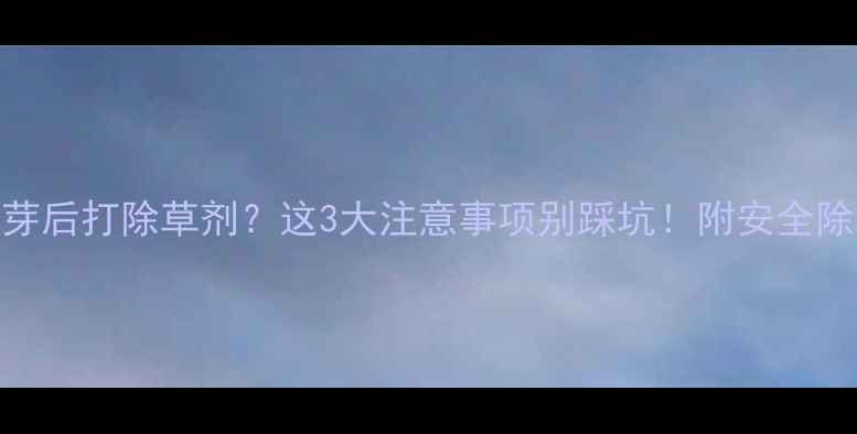 图片 🌿菊花发芽后打除草剂？这3大注意事项别踩坑！附安全除草全攻略