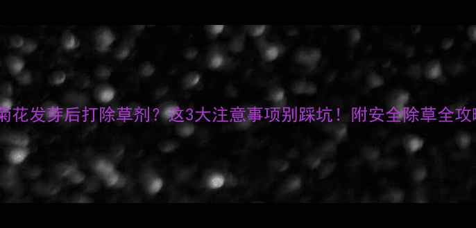图片 🌿菊花发芽后打除草剂？这3大注意事项别踩坑！附安全除草全攻略1