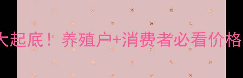 图片 🍚大连鸡蛋价格大起底！养殖户+消费者必看价格预测+避坑指南📈