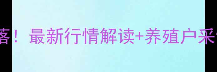 图片 🍜山西鸡蛋价格大起大落！最新行情解读+养殖户采访，附全年价格走势图2