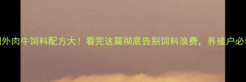 图片 🐄国外肉牛饲料配方大！看完这篇彻底告别饲料浪费，养殖户必看！