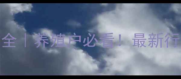 图片 🐄广东水牛价格波动全｜养殖户必看！最新行情+养殖避坑指南💰1