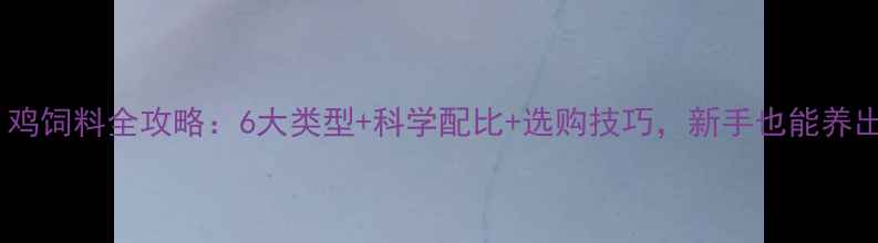 图片 🐔养殖必看！鸡饲料全攻略：6大类型+科学配比+选购技巧，新手也能养出高产蛋鸡！1