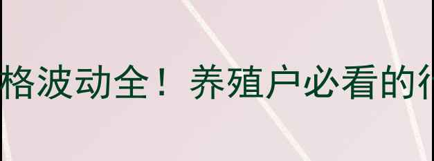 图片 🐷✨公主岭市二元母猪价格波动全！养殖户必看的行情趋势与选购指南✨🐷1