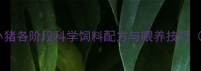 图片 🐷新手必看！小猪各阶段科学饲料配方与喂养技巧（附详细表格）2