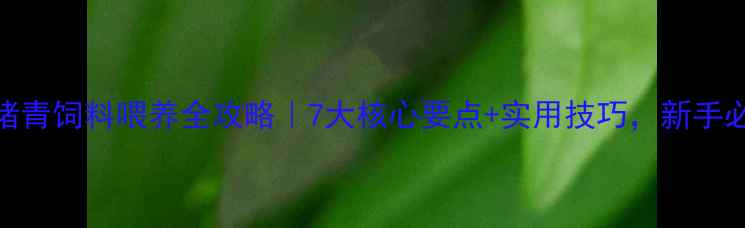 图片 🐷母猪青饲料喂养全攻略｜7大核心要点+实用技巧，新手必看！