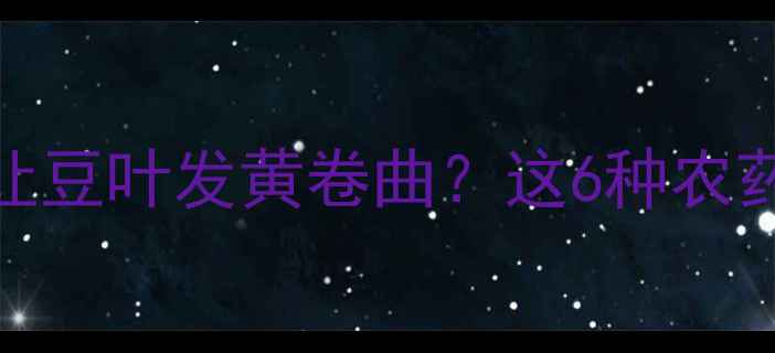 图片 💔豆田虫害爆发！蓟马让豆叶发黄卷曲？这6种农药+3个妙招专治豆蓟马！