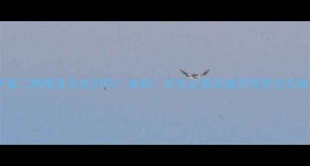 图片 💡甲基二磺隆是杀虫剂吗？真相！农民必看杀菌剂使用全攻略🌱2