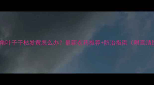 图片 💡豆角叶子干枯发黄怎么办？最新农药推荐+防治指南（附高清图）2