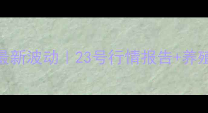 图片 📅山东鸡蛋价格最新波动｜23号行情报告+养殖户必看应对策略