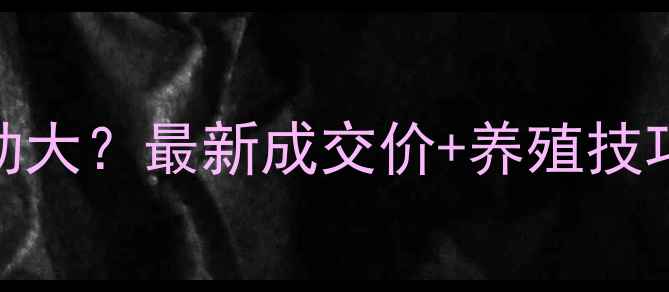图片 📊河南獭兔价格波动大？最新成交价+养殖技巧全🔥养殖户必看！