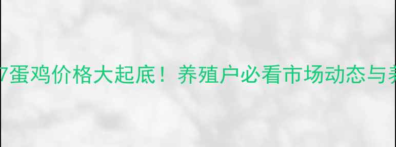 图片 📊盐城817蛋鸡价格大起底！养殖户必看市场动态与养殖攻略2