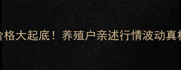 图片 📊陕西鸡蛋价格大起底！养殖户亲述行情波动真相+选购攻略1