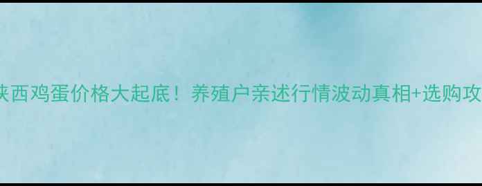 图片 📊陕西鸡蛋价格大起底！养殖户亲述行情波动真相+选购攻略2