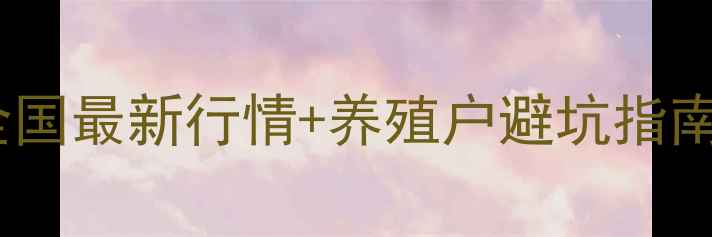 图片 📊鸡蛋价格波动全！全国最新行情+养殖户避坑指南（附12月养殖数据）1