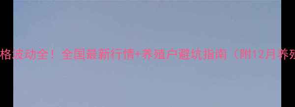图片 📊鸡蛋价格波动全！全国最新行情+养殖户避坑指南（附12月养殖数据）2