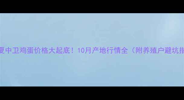 图片 📌宁夏中卫鸡蛋价格大起底！10月产地行情全（附养殖户避坑指南）