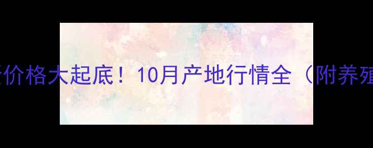 图片 📌宁夏中卫鸡蛋价格大起底！10月产地行情全（附养殖户避坑指南）2