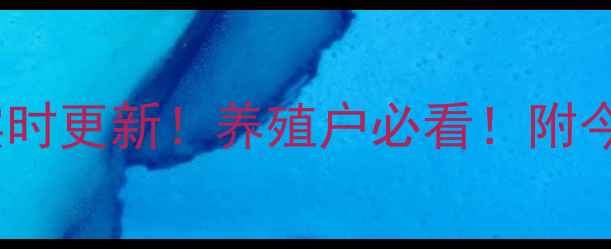 图片 📌河北省毛鸡价格行情实时更新！养殖户必看！附今日详细报价及养殖建议2