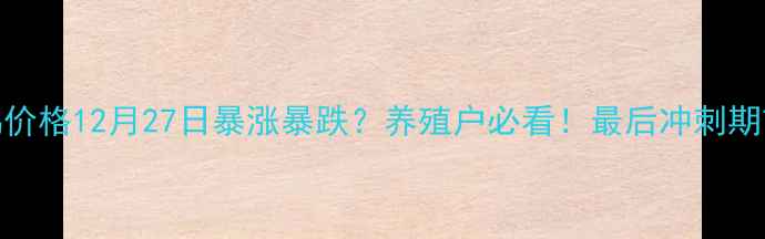 图片 📌肉鸡价格12月27日暴涨暴跌？养殖户必看！最后冲刺期市场全