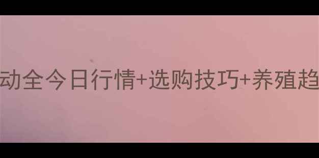 图片 📌莱阳土鸡蛋价格波动全今日行情+选购技巧+养殖趋势（附最新报价表）