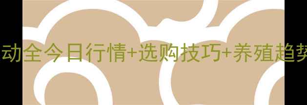 图片 📌莱阳土鸡蛋价格波动全今日行情+选购技巧+养殖趋势（附最新报价表）1