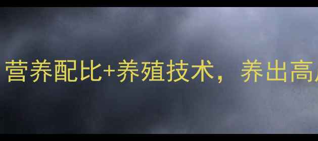 图片 📌蛋鸡饲料配方全｜营养配比+养殖技术，养出高产蛋鸡的秘诀在这！