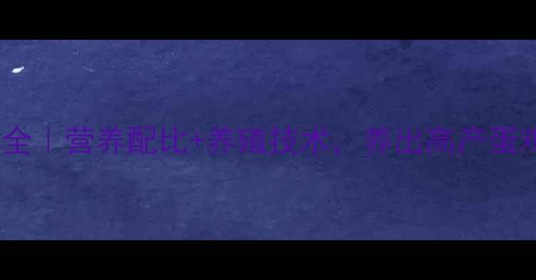 图片 📌蛋鸡饲料配方全｜营养配比+养殖技术，养出高产蛋鸡的秘诀在这！2