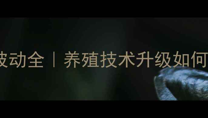 图片 📌馆陶鸡蛋价格波动全｜养殖技术升级如何影响鸡蛋市场？1