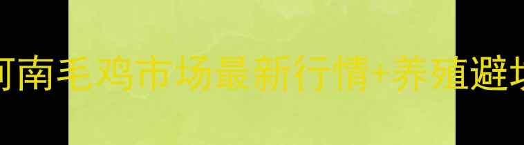 图片 🔥817肉鸡价格大起底！河南毛鸡市场最新行情+养殖避坑指南（附实时报价表）1