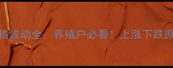 图片 🔥8月牛肉价格波动全：养殖户必看！上涨下跌原因+应对策略