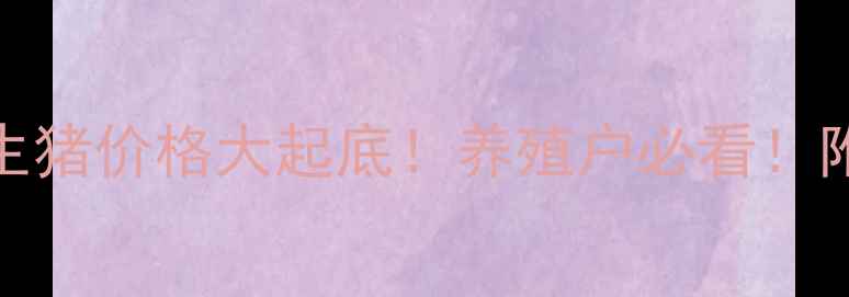 图片 🔥9月15日全国生猪价格大起底！养殖户必看！附最新走势预测1