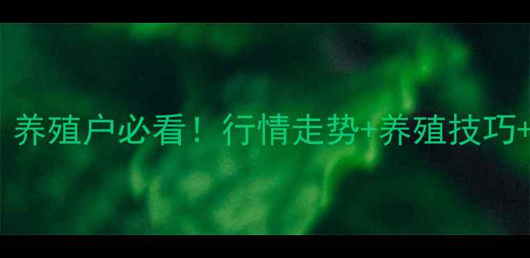 图片 🔥9月1日肉鸡价格波动全｜养殖户必看！行情走势+养殖技巧+未来预测（附详细数据）1