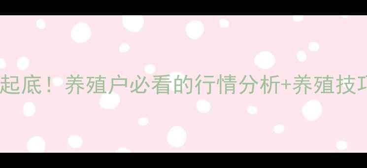 图片 🔥东北生猪收购价大起底！养殖户必看的行情分析+养殖技巧（附最新报价表）1