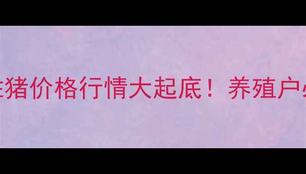 图片 🔥中国牲猪价格行情大起底！养殖户必看！🔥