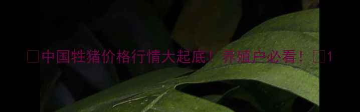 图片 🔥中国牲猪价格行情大起底！养殖户必看！🔥1