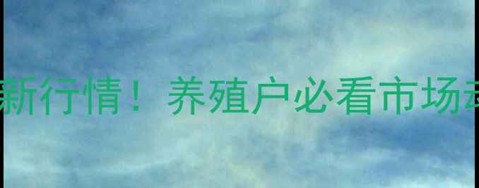 图片 🔥临汾生猪价格最新行情！养殖户必看市场动态与养殖攻略🐷1