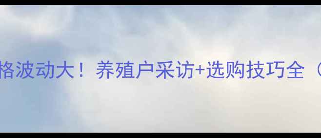 图片 🔥临泉鸡蛋价格波动大！养殖户采访+选购技巧全（附今日行情）