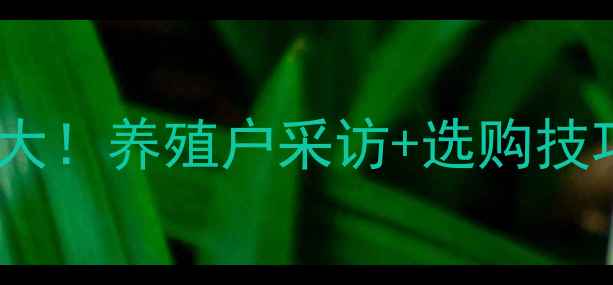 图片 🔥临泉鸡蛋价格波动大！养殖户采访+选购技巧全（附今日行情）1