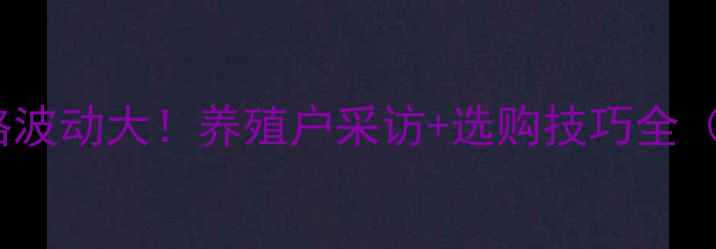 图片 🔥临泉鸡蛋价格波动大！养殖户采访+选购技巧全（附今日行情）2