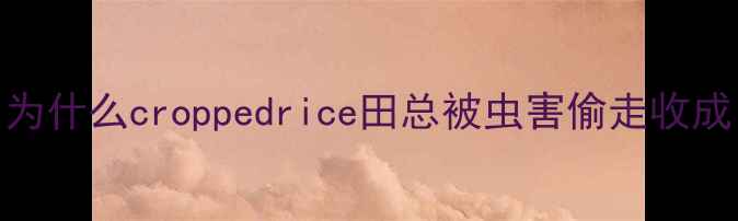 图片 🔥为什么croppedrice田总被虫害偷走收成？