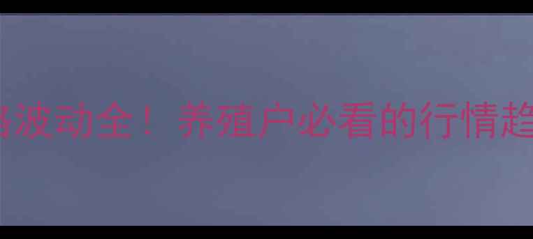 图片 🔥今日临沂肉鸡价格波动全！养殖户必看的行情趋势与养殖攻略速存1
